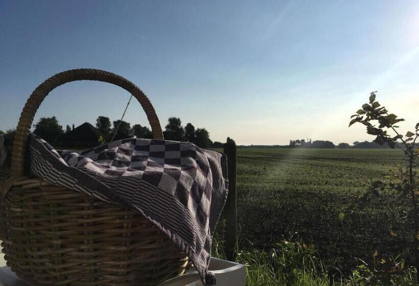 Номер Стандарт с Террасой, B&b Zusenzomer