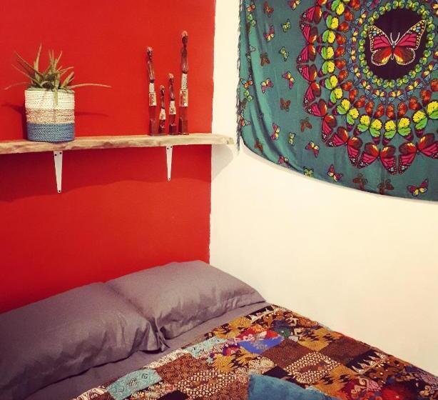 غرفة إقتصادية, L Isola Che..