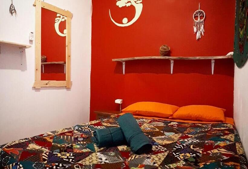 غرفة إقتصادية, L Isola Che..