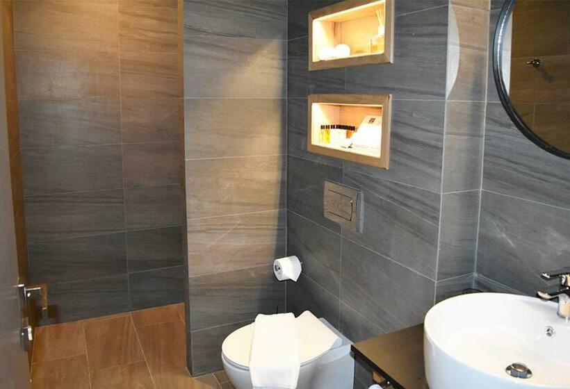 スタンダードルーム, Chateau Copsa Complex