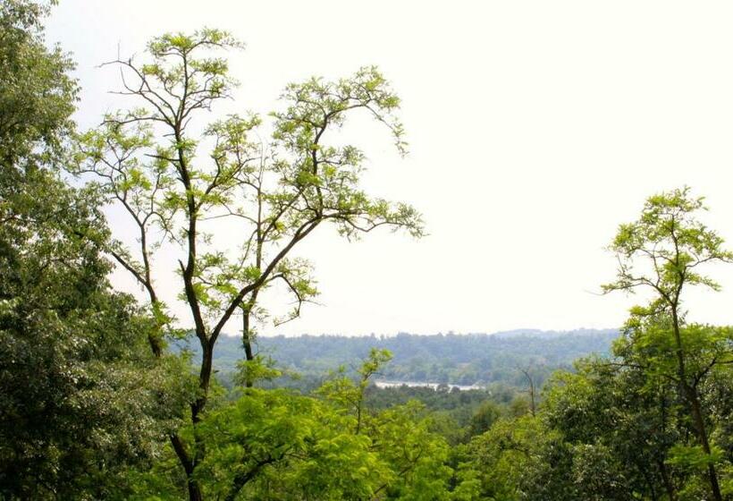غرفة قياسية رباعية, La Piccola Corte Malpensa, 8 Minuti D Auto