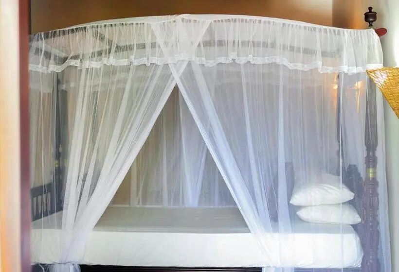 Superior-huone, Surf Villa