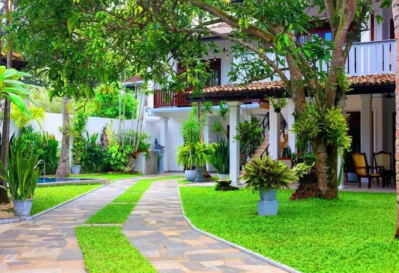 Superior-huone, Surf Villa