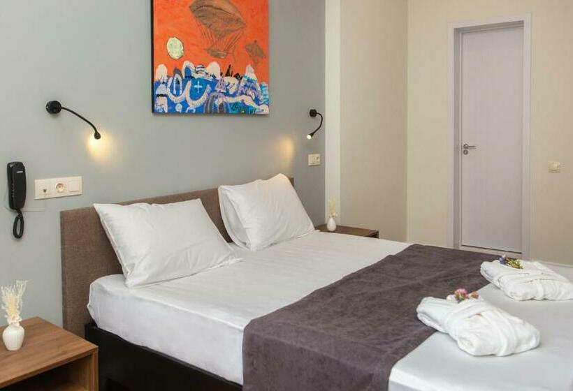 اتاق استاندارد, Vista