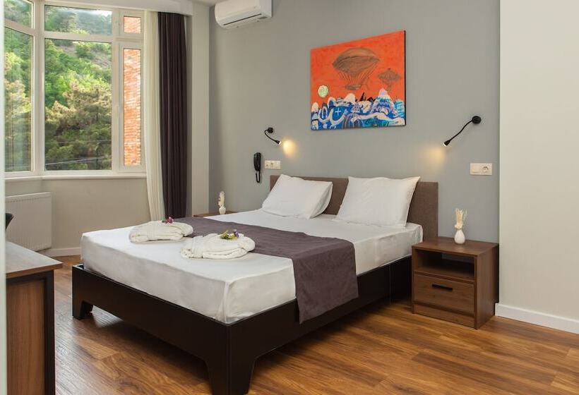 اتاق استاندارد با چشم‌انداز شهر, Vista