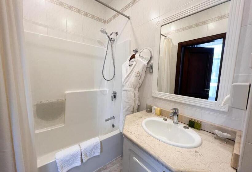 اتاق استاندارد, Arcadia Plaza