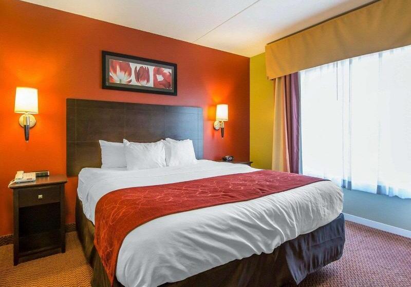 اتاق استاندارد یک نفره, Barcelo Concorde Les Berges Du Lac