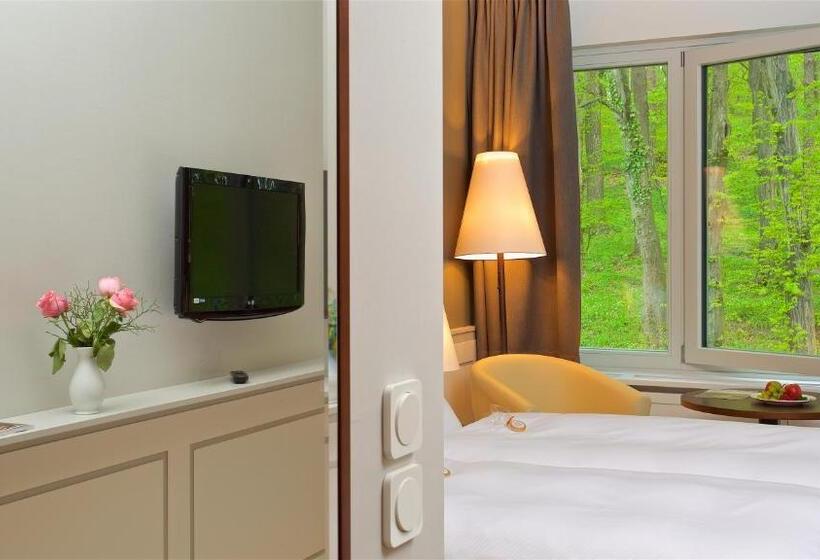 클래식 싱글 룸, Berghotel Tulbingerkogel