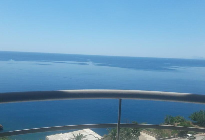 Quarto standart individual, Cender