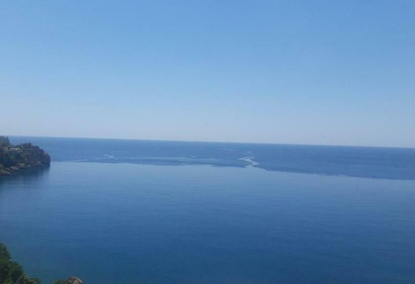 اتاق خانوادگی, Cender
