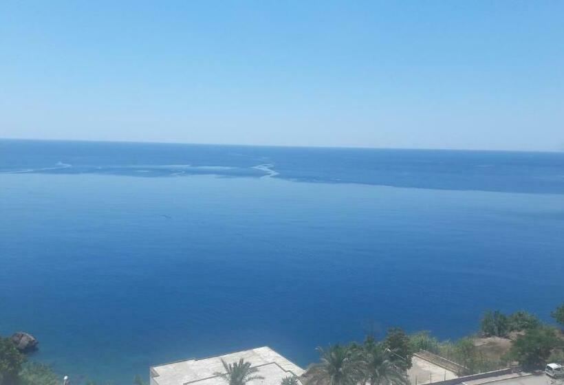 Quarto standart individual, Cender