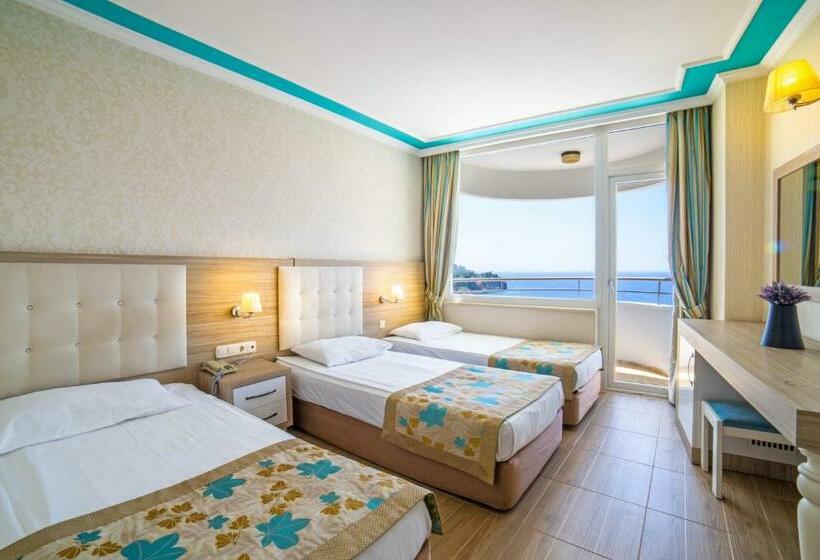 Quarto Triplo Standart, Cender