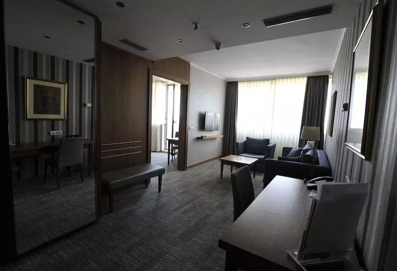 اتاق استاندارد, Holiday Inn Skopje, An Ihg
