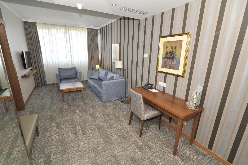 سوئیت با تخت بزرگ, Holiday Inn Skopje, An Ihg