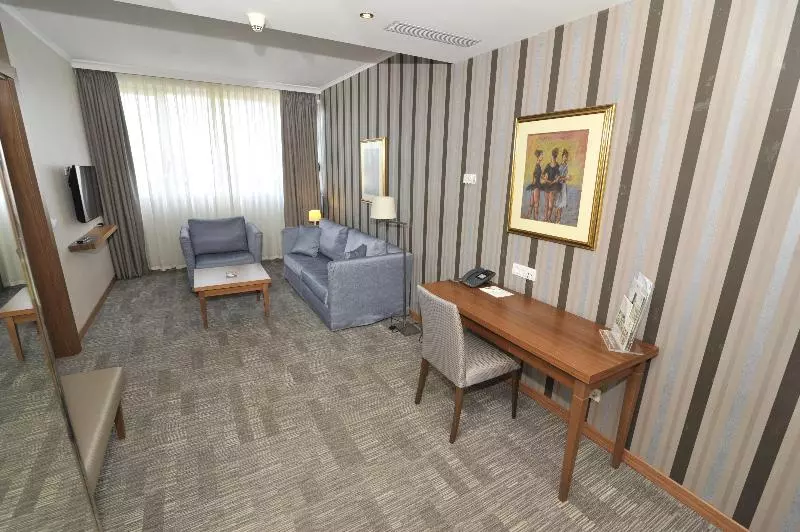 سوئیت با تخت بزرگ, Holiday Inn Skopje, An Ihg