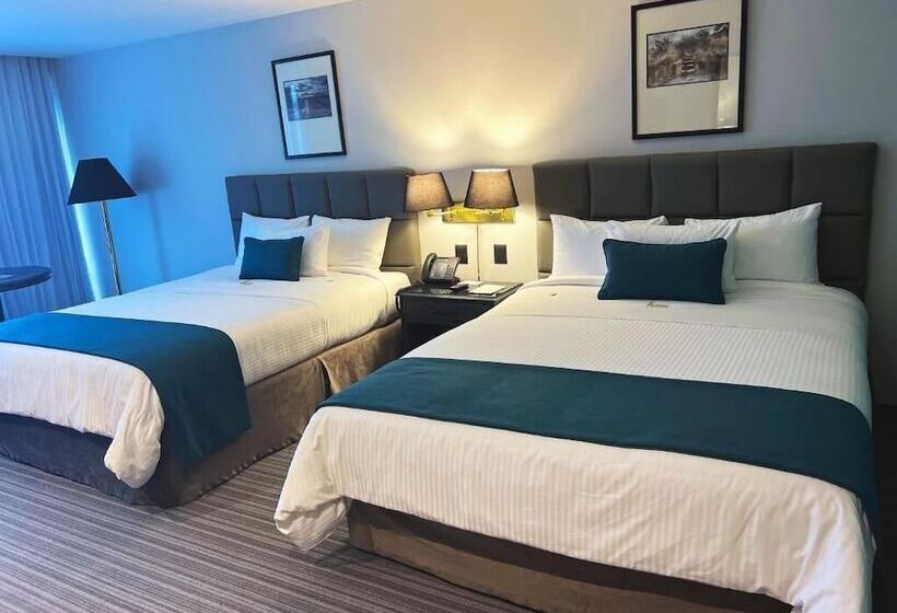 اتاق لوکس, Lidotel Caracas