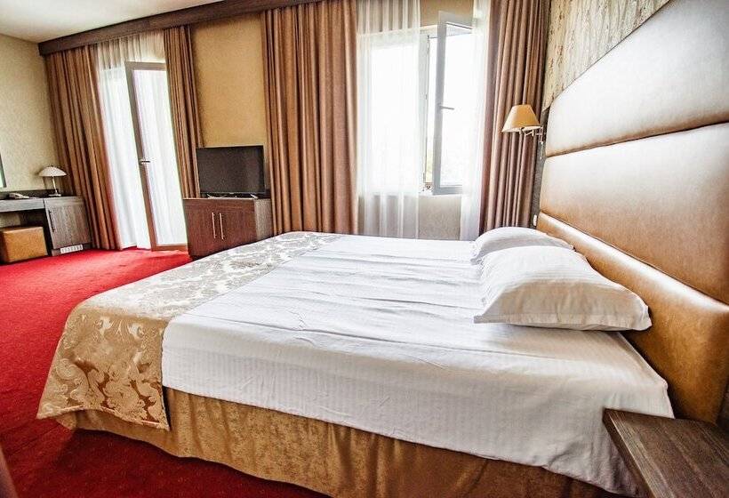 デラックスルーム, Spa Hotel Dvoretsa