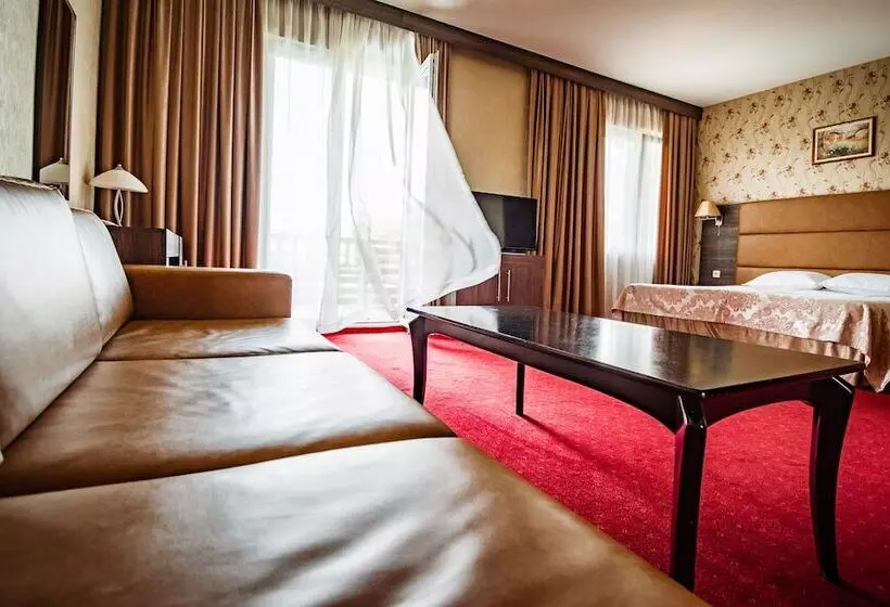 デラックスルーム, Spa Hotel Dvoretsa