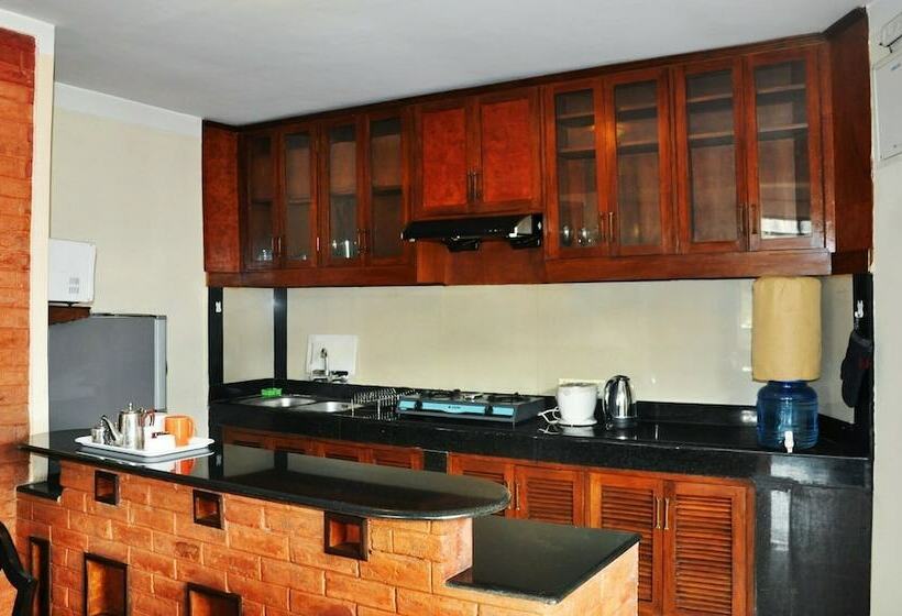 آپارتمان لوکس 1 خوابه, Temple Tiger Thamel Apartment