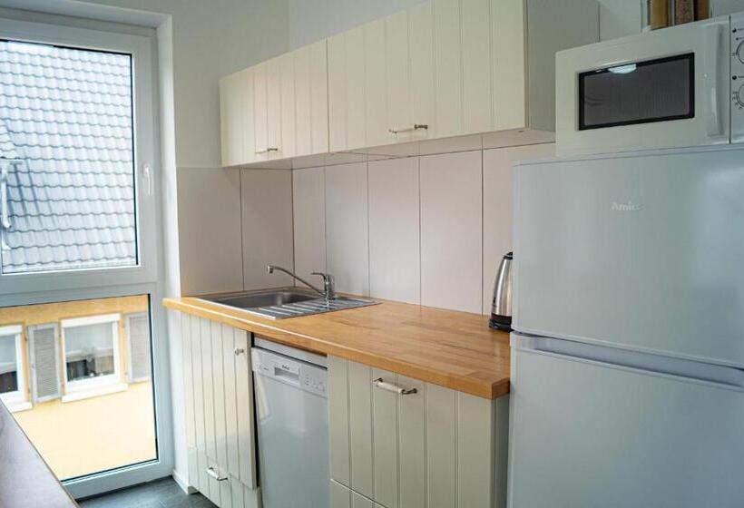 Апартаменты 1 Спальня с Балконом, Apartmenthaus Schlossgasse