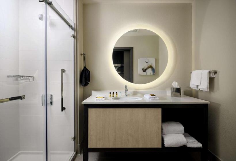 חדר סטנדרט עם מיטת קינג, Best Western Plus Executive Residency Jackson Northeast