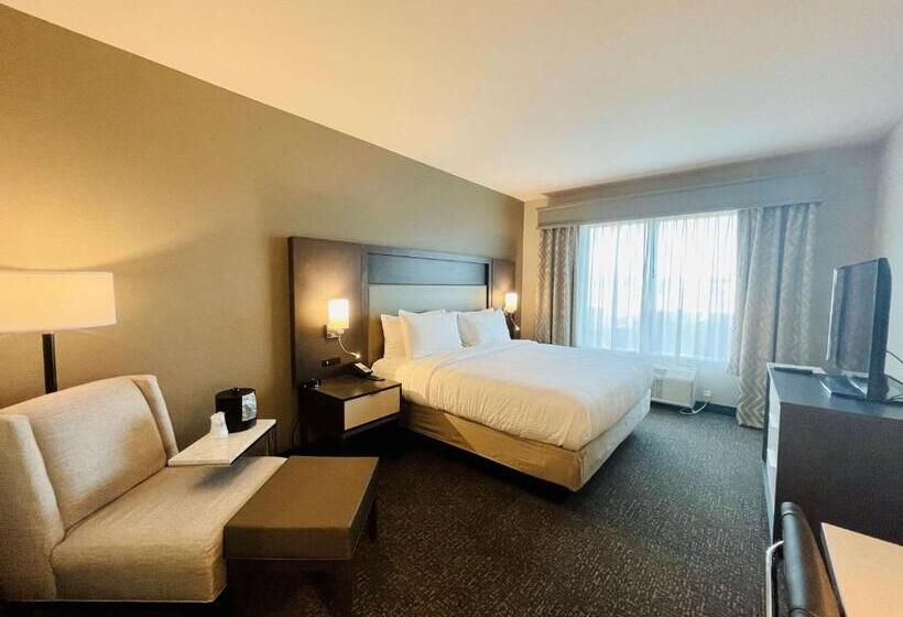 חדר סטנדרט עם מיטת קינג, Best Western Plus Executive Residency Jackson Northeast