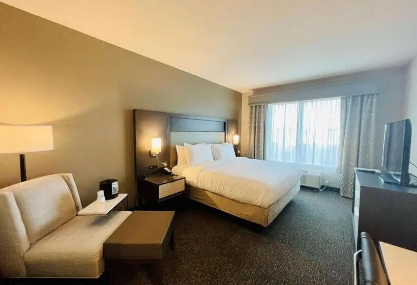 キングサイズベッドのスタンダードルーム, Best Western Plus Executive Residency Jackson Northeast