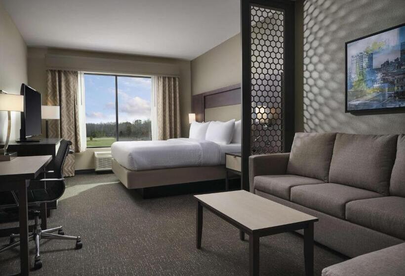适合残疾人士使用的套间, Best Western Plus Executive Residency Jackson Northeast