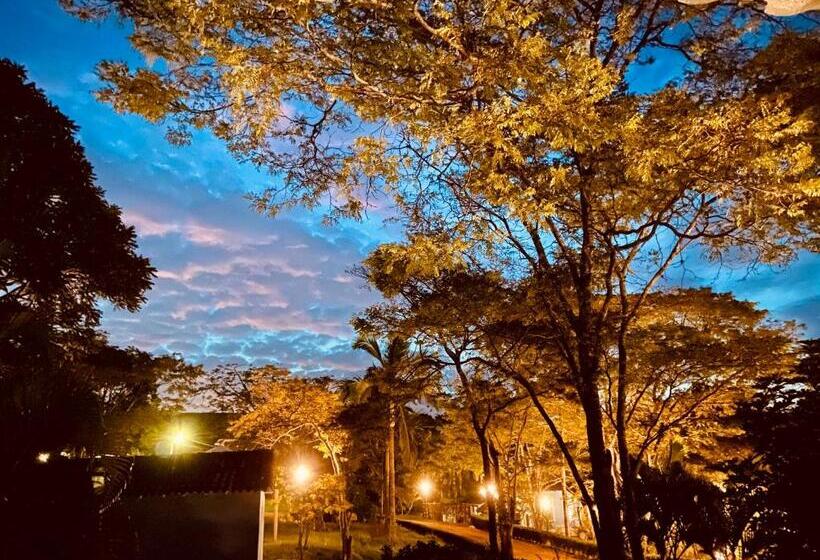 Camera Familiare Superiore, Fazenda Juca Mulato