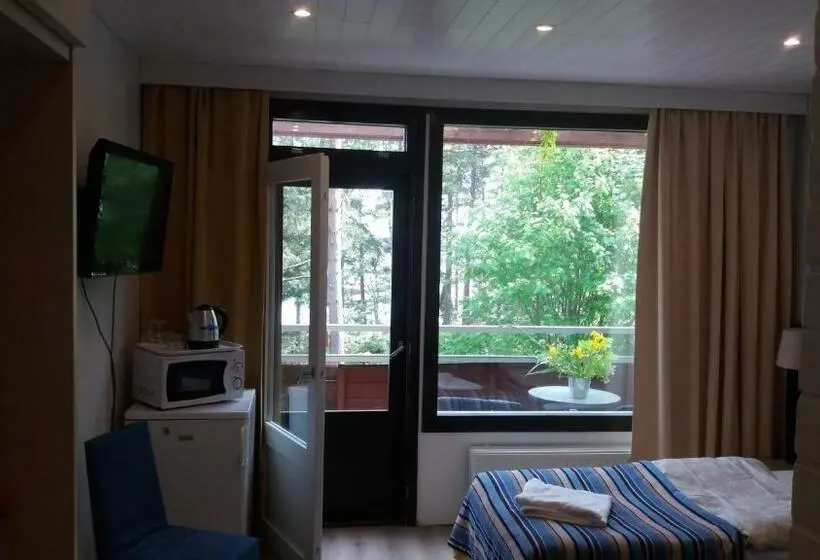 オーシャンビュースタンダードルーム, Sea Hotel Mäntyniemi