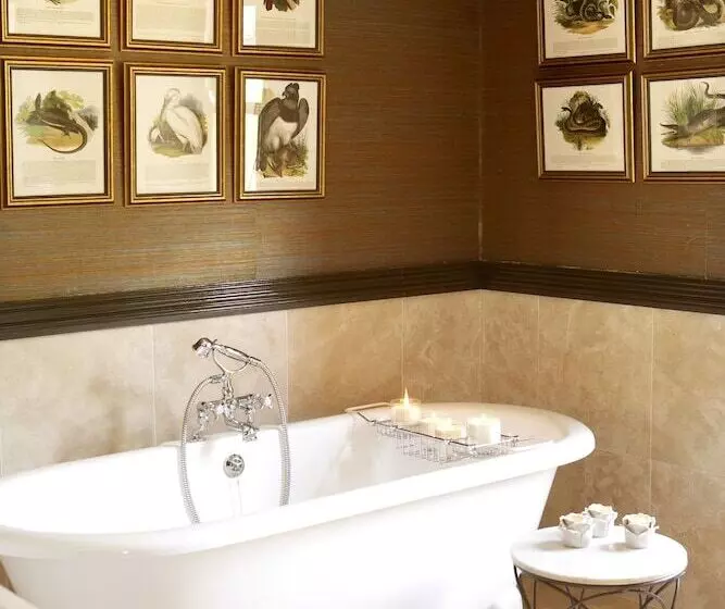 デラックスルーム, Bushmans Kloof Wilderness Reserve And Wellness Retreat