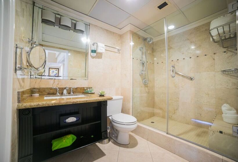 デラックスルーム, Courtleigh Hotel & Suites