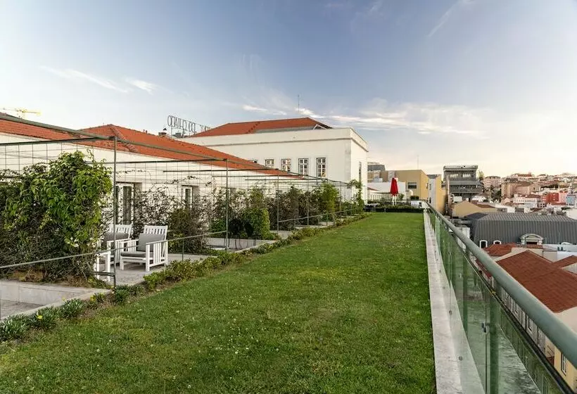 Camera Premium, Do Chiado