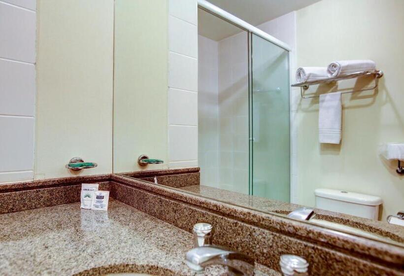 اتاق سوپریور, Esuites Congonhas By Atlantica