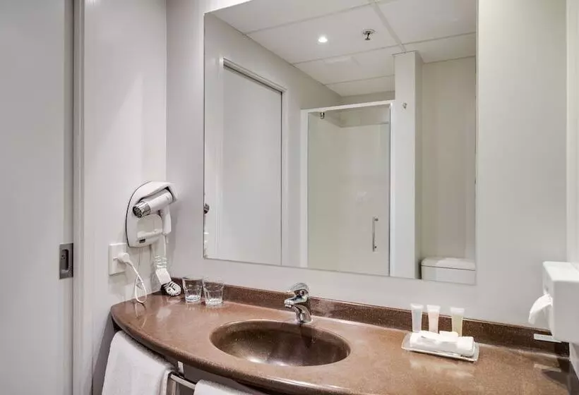 اتاق استاندارد با 2 تخت دوبل, Ibis Rotorua