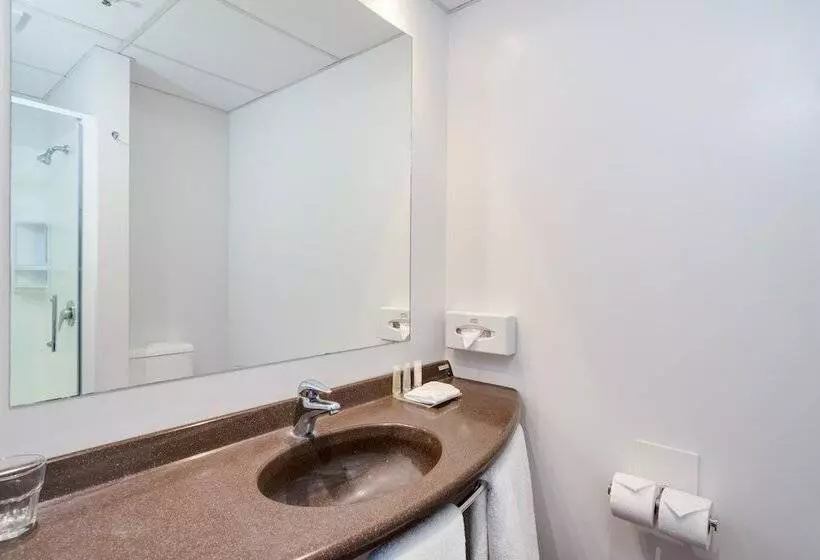 اتاق استاندارد با 2 تخت دوبل, Ibis Rotorua