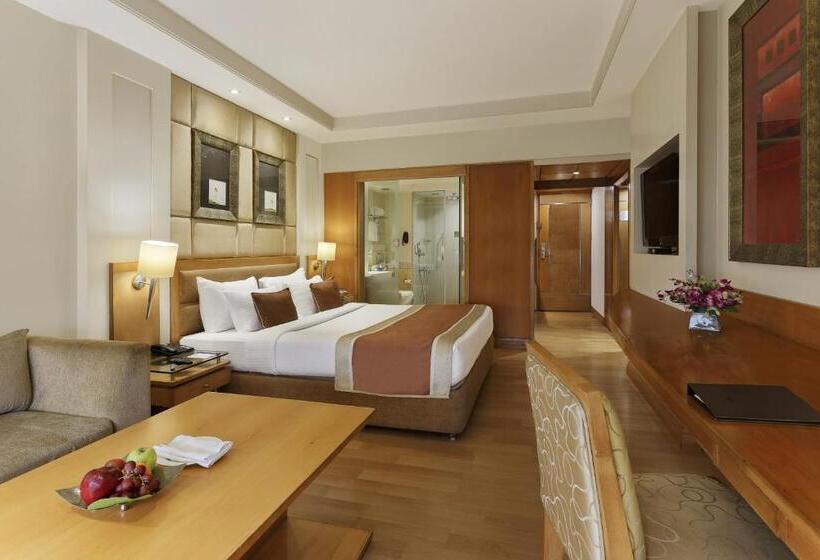 اتاق کلاب, Park Plaza, Ludhiana
