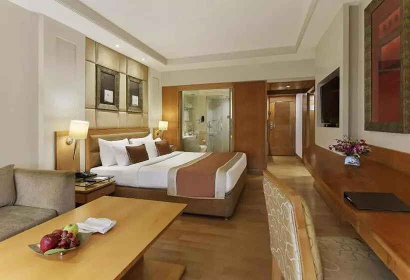 اتاق کلاب, Park Plaza, Ludhiana
