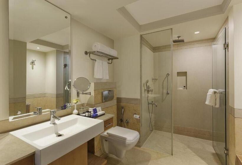 اتاق کلاب, Park Plaza, Ludhiana