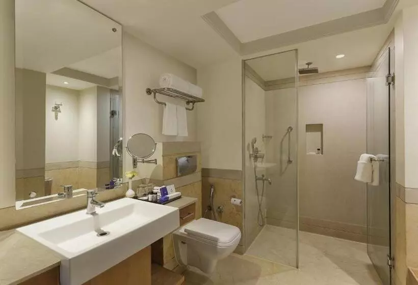 اتاق سوپریور, Park Plaza, Ludhiana