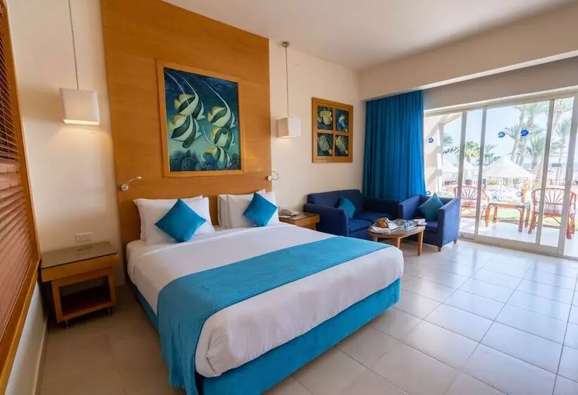 اتاق کلاب, Parrotel Beach Resort