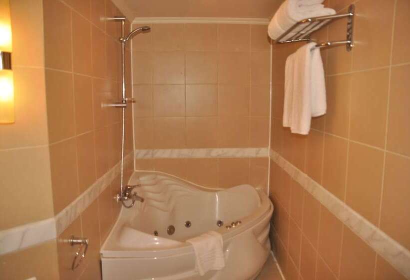 اتاق استاندارد, Parrotel Beach Resort