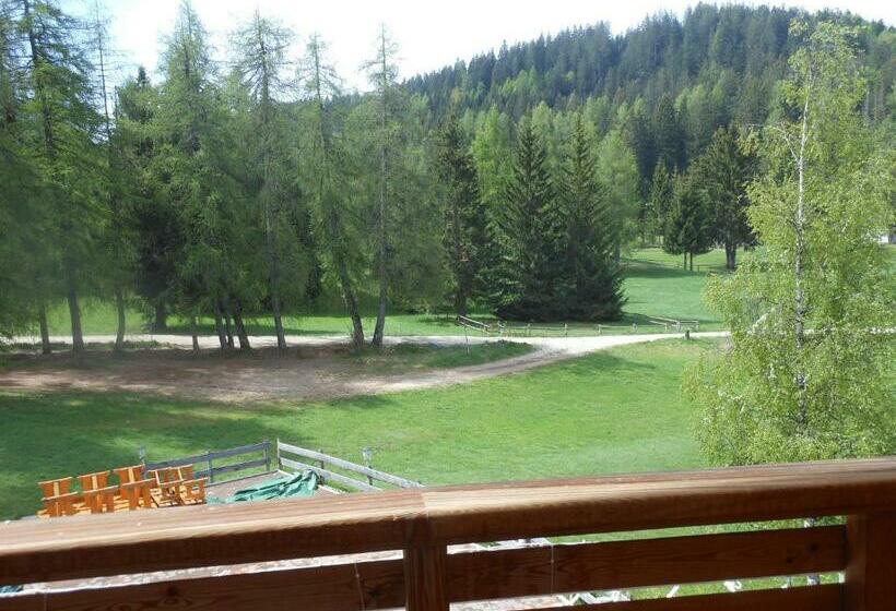 Номер Стандарт, Il Falchetto