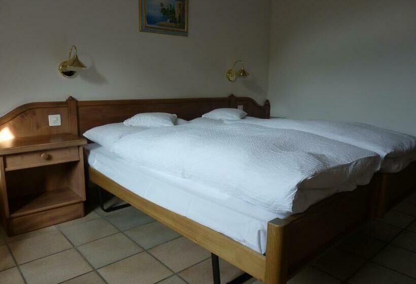 חדר סטנדרט, Gasthof Löwen