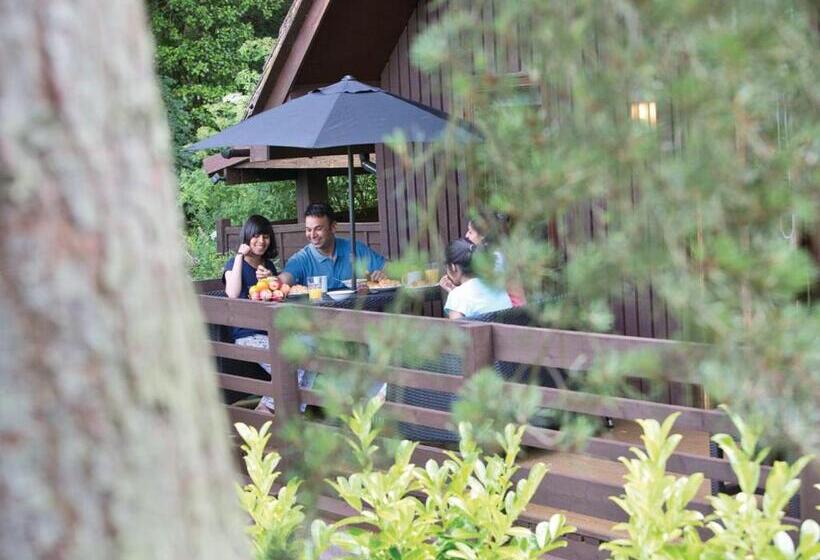 منزل غرفتين نوم, Exmoor Gate Lodges