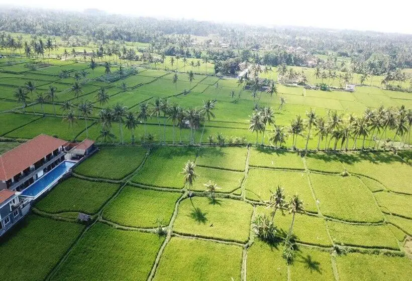 プールビュースタンダードルーム, The Sawah Resort & Villa