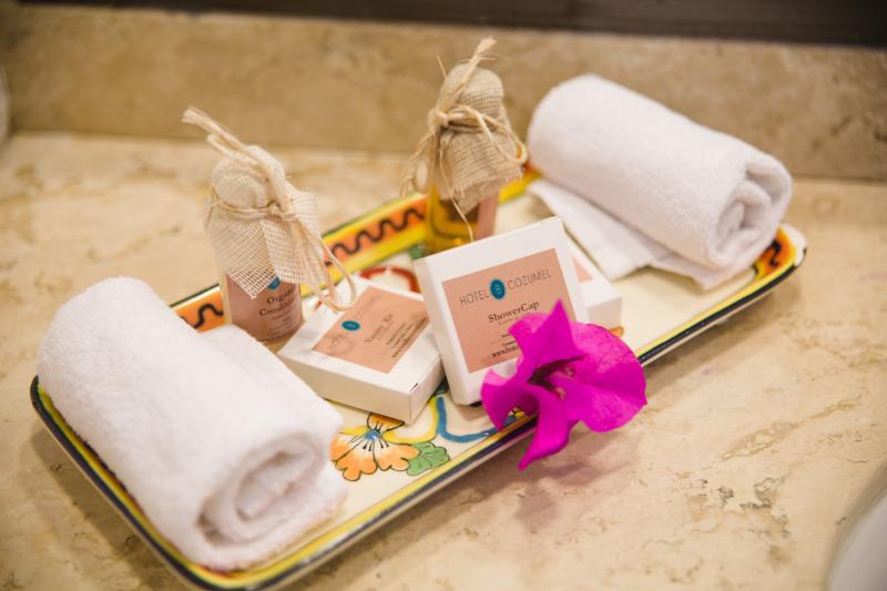 オーシャンビュースタンダードルーム, B Cozumel