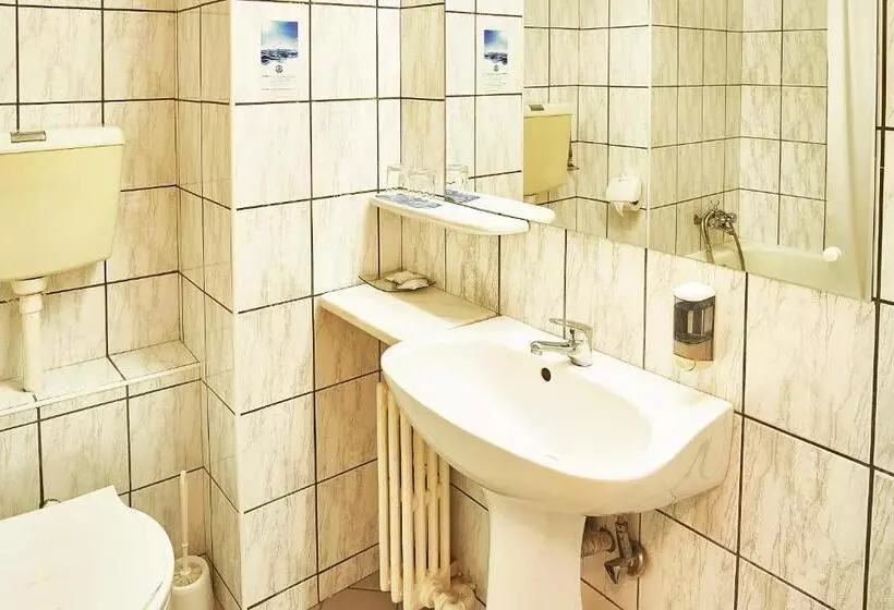 اتاق استاندارد با چشمانداز رودخانه, Continental Drobeta Turnu Severin