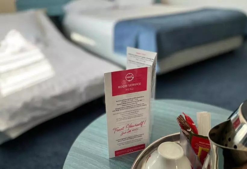 اتاق سوپریور با چشمانداز رودخانه, Continental Drobeta Turnu Severin