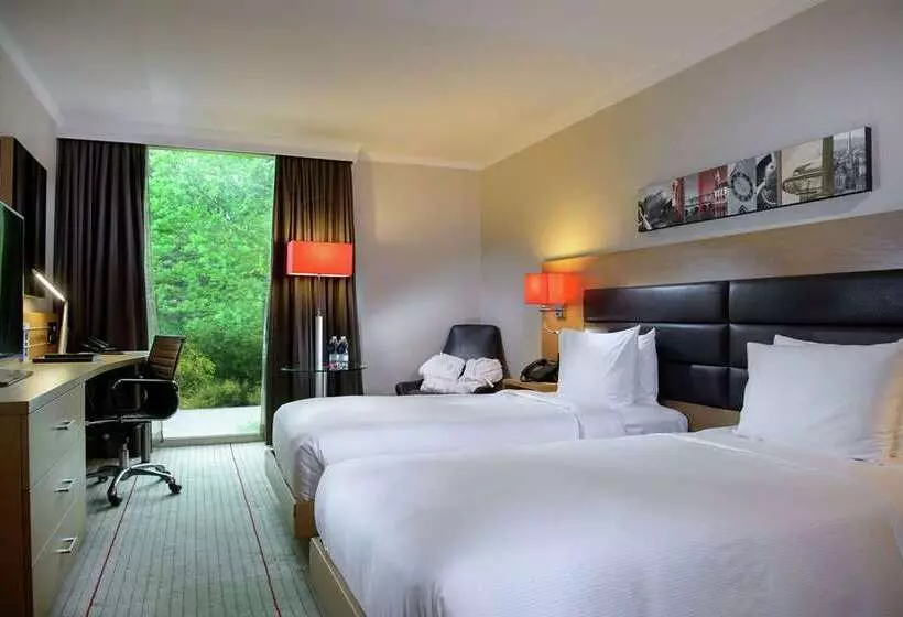اتاق لوکس, Hilton Zurich Airport